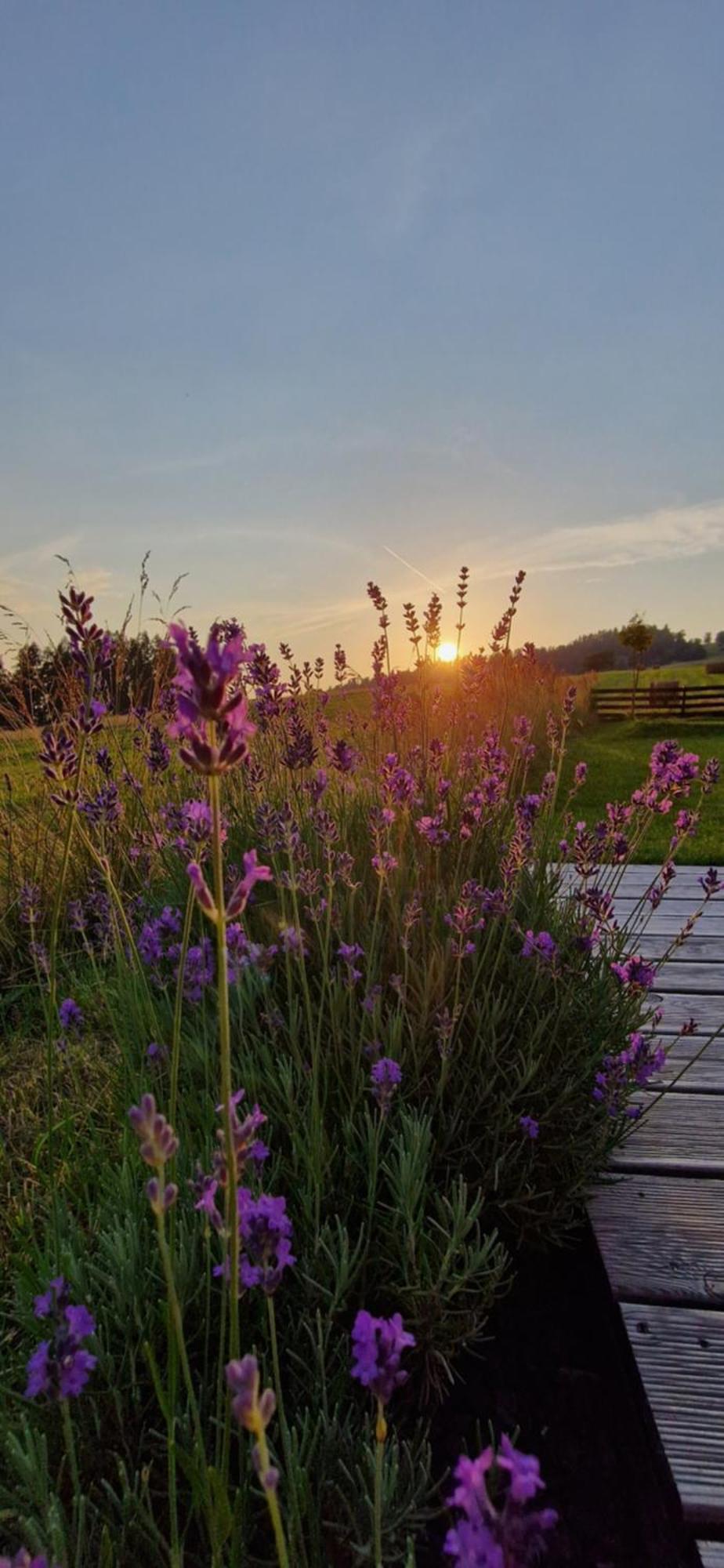 Przystan Nad Listepka Domek Nowoczesna Stodola Z Widokiem Na Tatry, Gorce I Pieniny Łopuszna Exterior foto